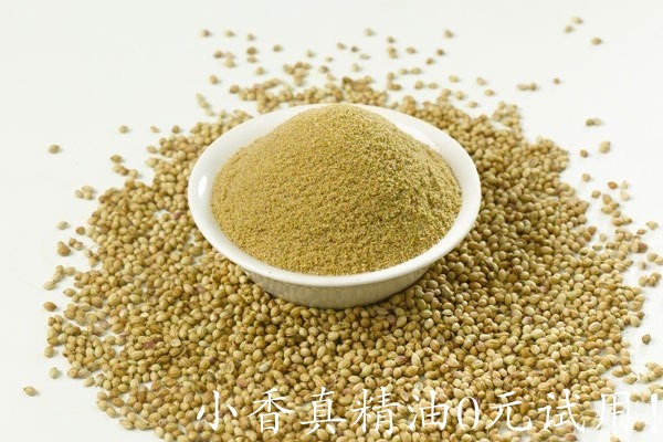 芫荽籽Coriander-seeds-and-powder.jpg