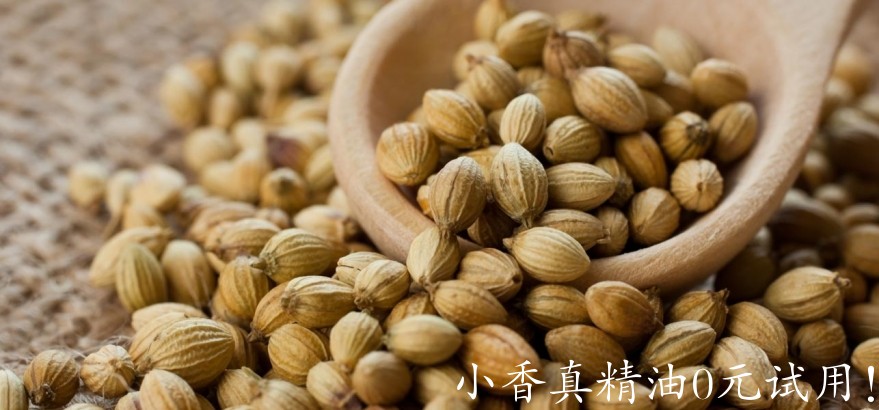 芫荽籽Benefits-Of-Coriander-Seeds1.jpg