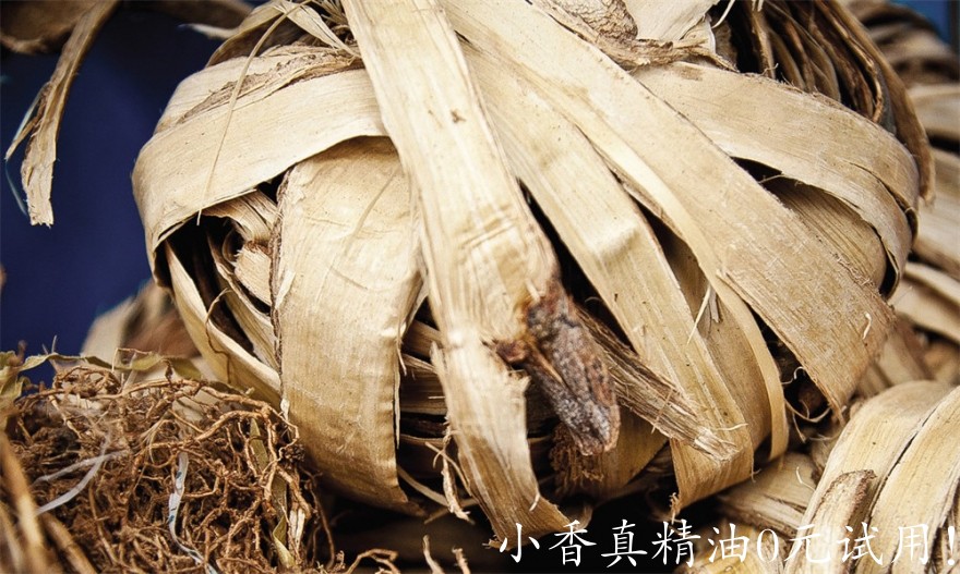 卡塔菲imagehandles.jpg