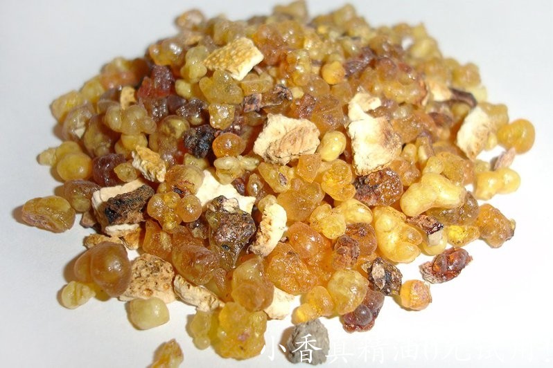 乳香 frankincense-Boswellia Carterii 22.jpg