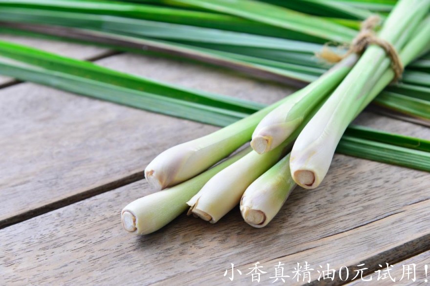 柠檬香茅lemongrass-on-a-wooden-background.jpg