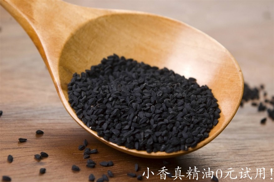 黑种草Black-Cumin-cover.jpg