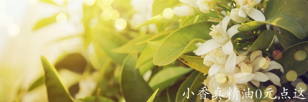 橙花header_neroli_1920x640px.jpg