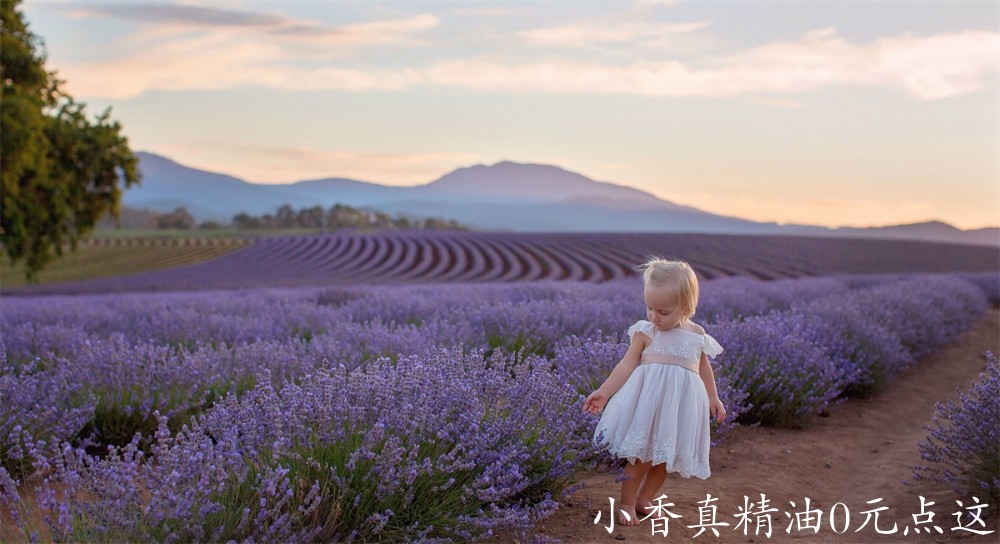 薰衣草bridestowe-lavender-sweet-girl-photo-credit-Rainee-Lantry.jpg