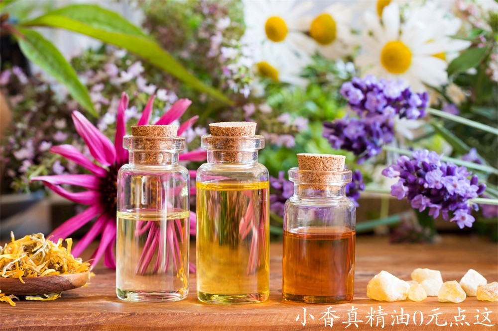 精油使用three-bottles-of-essential-oil-with-frankincense-royalty-free-image-9244.jpg