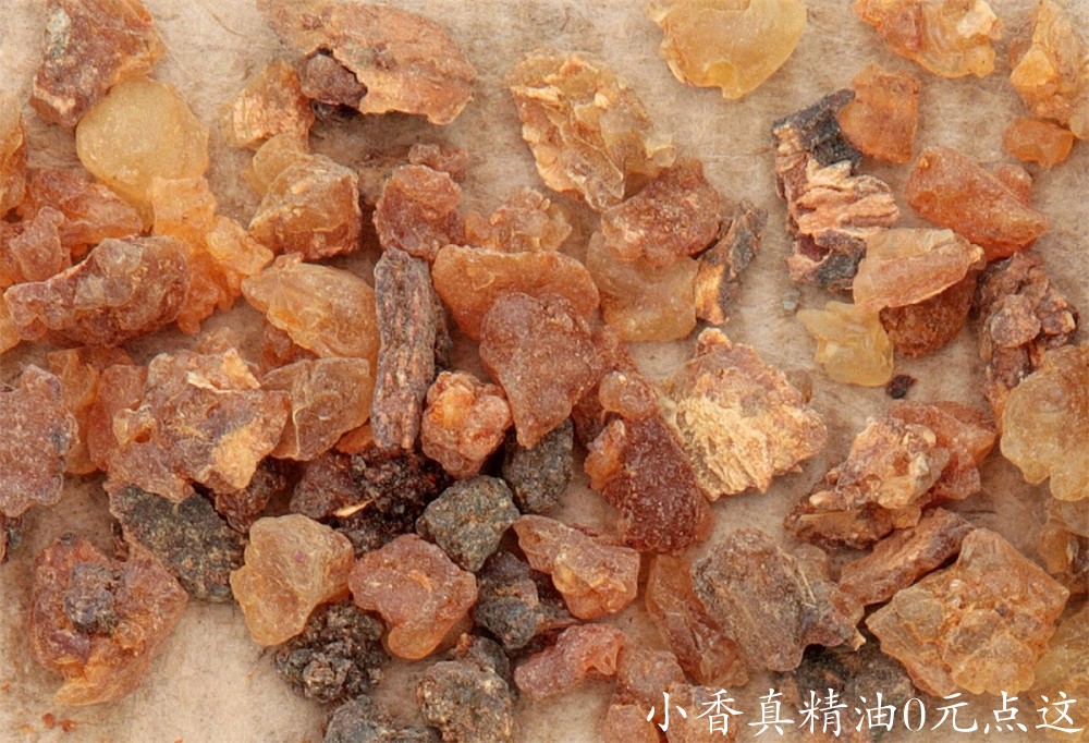 没药myrrh-oil-resin.jpg