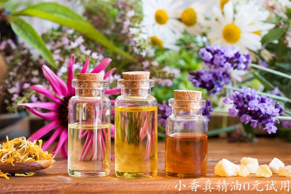 精油使用three-bottles-of-essential-oil-with-frankincense-royalty-free-image-9244.jpg